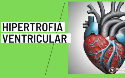 Hipertrofia Ventricular Esquerda: Guia Completo [2024]